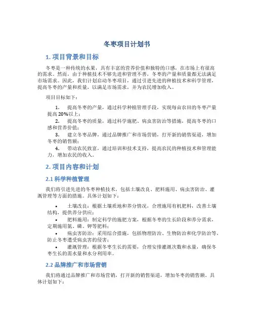 冬枣项目计划书
