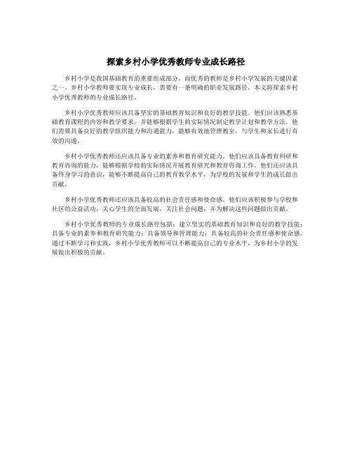 探索乡村小学优秀教师专业成长路径