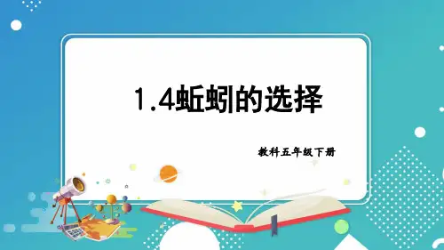 小学科学五年级下册教科版第4课 蚯蚓的选择