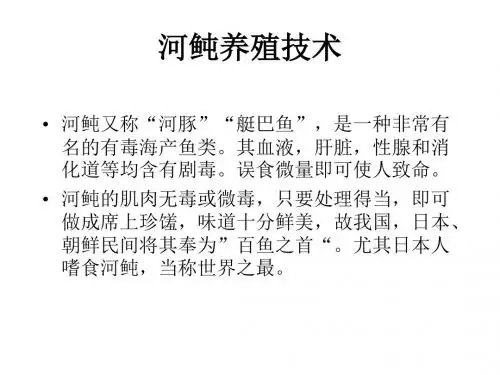 河鲀养殖技术