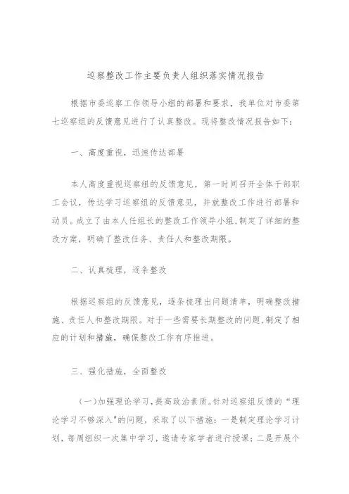 巡察整改工作主要负责人组织落实情况报告