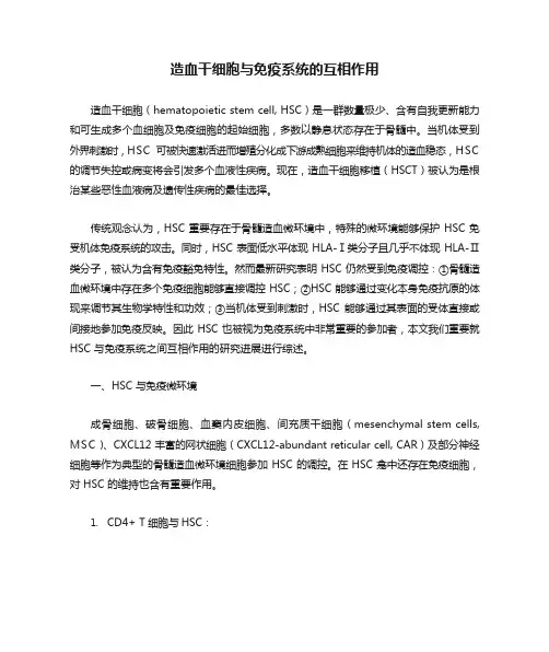 造血干细胞与免疫系统的相互作用