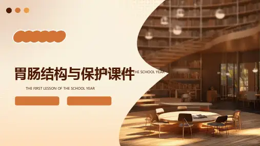 胃肠结构与保护课件