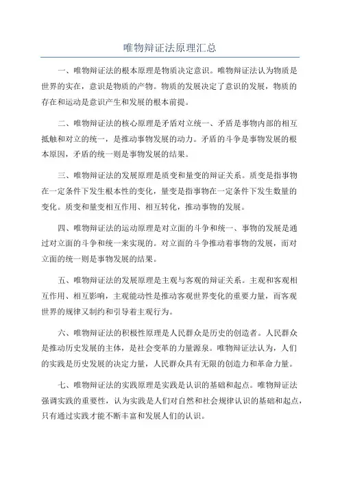 唯物辩证法原理汇总
