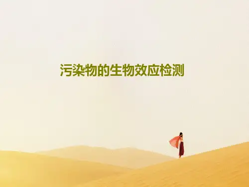 污染物的生物效应检测PPT文档130页