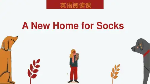 黑布林精品英语阅读公开课件A new home for Socks (上)