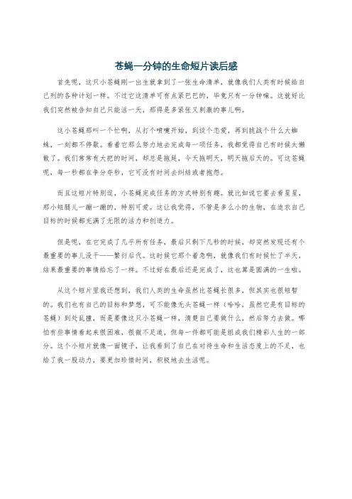 苍蝇一分钟的生命短片读后感