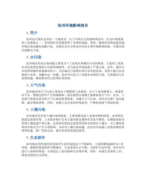 沧州环境影响报告