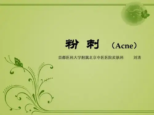 粉刺(2010.11)--刘清