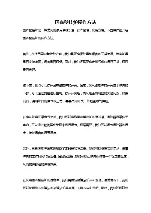 国森壁挂炉操作方法