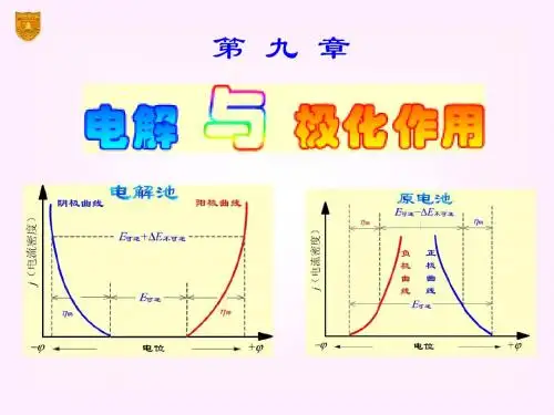 10章 电解与极化作用