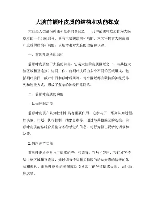 大脑前额叶皮质的结构和功能探索