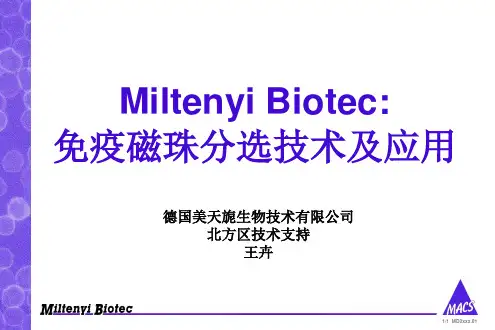 德国美天妮磁珠分选