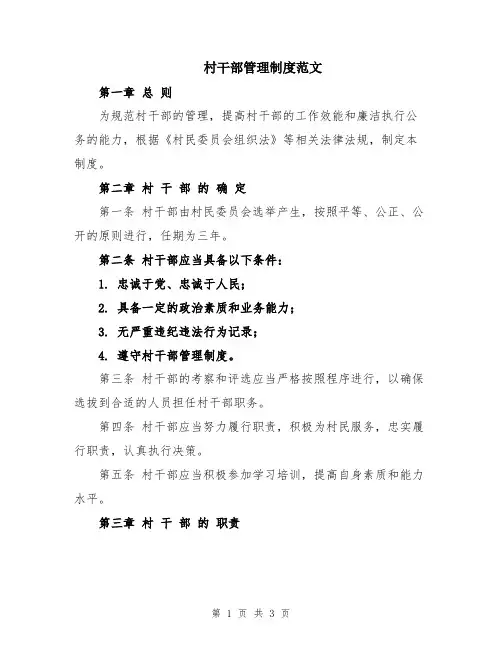 村干部管理制度范文