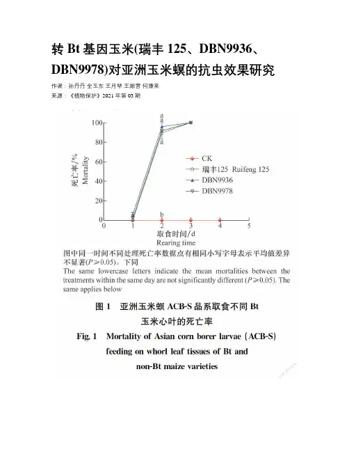 转Bt基因玉米(瑞丰125、DBN9936、DBN9978)对亚洲玉米螟的抗虫效果研究