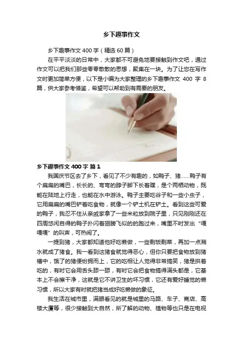乡下趣事作文