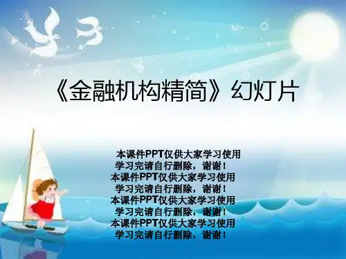 《金融机构精简》幻灯片