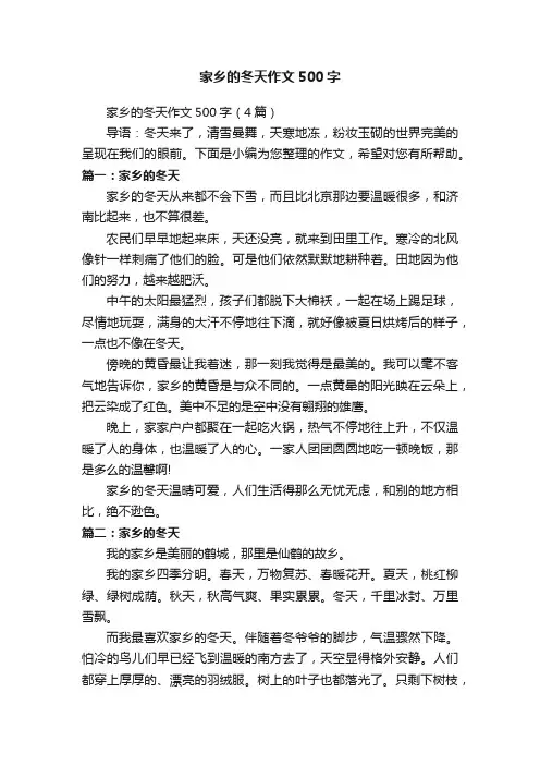 家乡的冬天作文500字