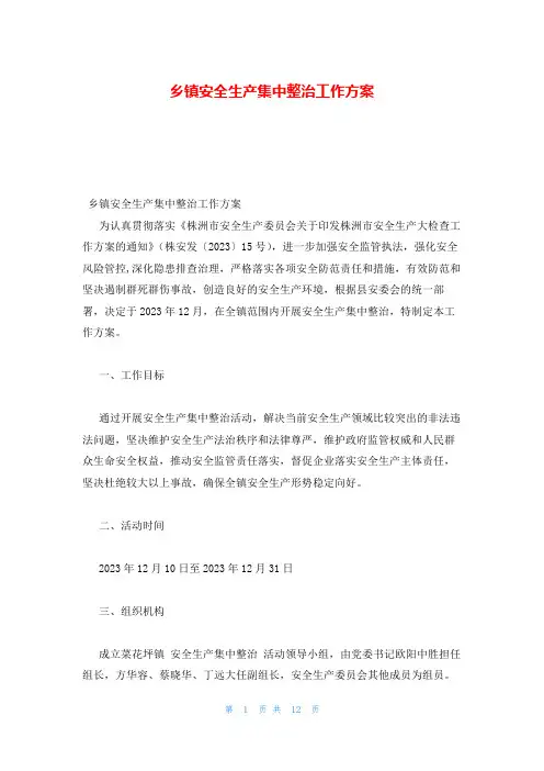 乡镇安全生产集中整治工作方案