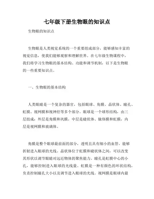 七年级下册生物眼的知识点
