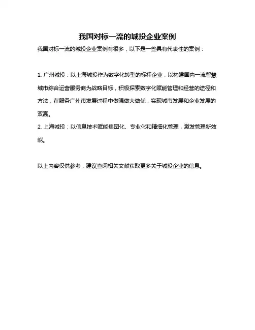 我国对标一流的城投企业案例