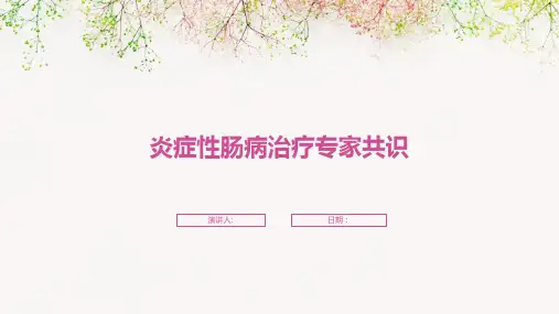 炎症性肠病治疗专家共识