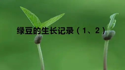 小学科技创新课件： 绿豆的生长记录