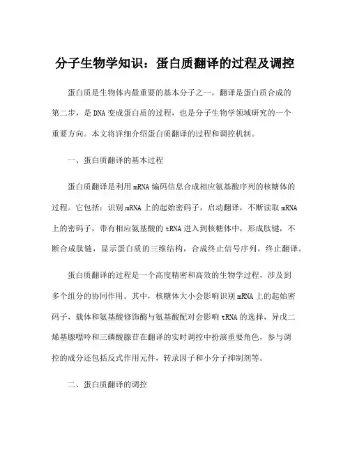 分子生物学知识：蛋白质翻译的过程及调控