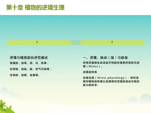 植物的逆境生理