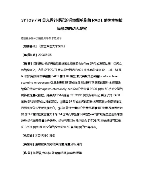SYTO9／PI荧光探针标记的铜绿假单胞菌PAO1菌株生物被膜形成的动态观察