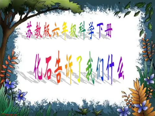 化石形成的原因1生物的身体生物必须具有一定的硬体包括诸如骨骼