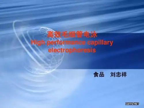 高效毛细管电泳