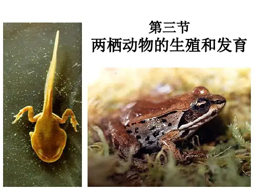 《两栖动物的生殖和发育》生物的生殖和发育PPT课件