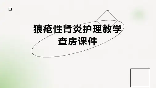 狼疮性肾炎护理教学查房课件
