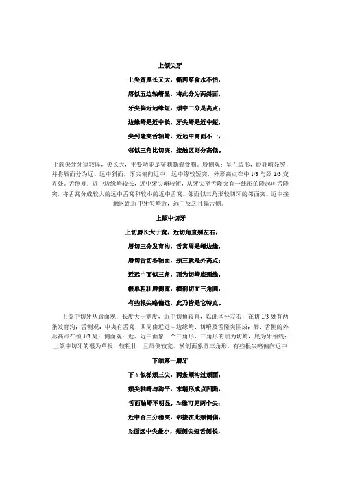 牙齿形态歌谣