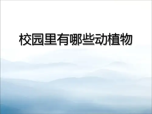 《校园里有哪些动植物》寻访校园里的动植物PPT课件2【优秀课件PPT】
