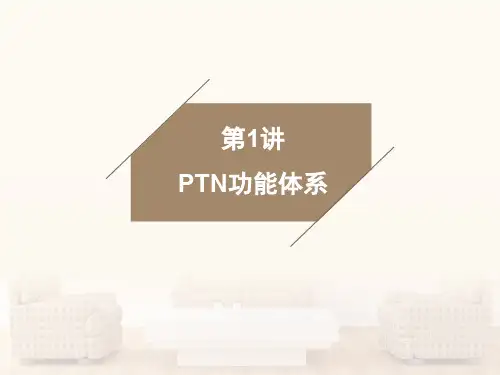 PTN与IPRAN教学课件-PTN技术构架