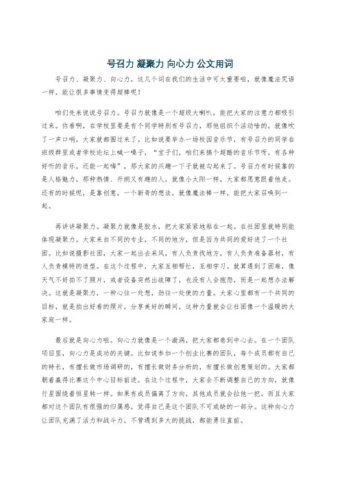号召力 凝聚力 向心力 公文用词