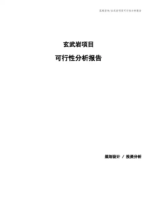 玄武岩项目可行性分析报告 (1)