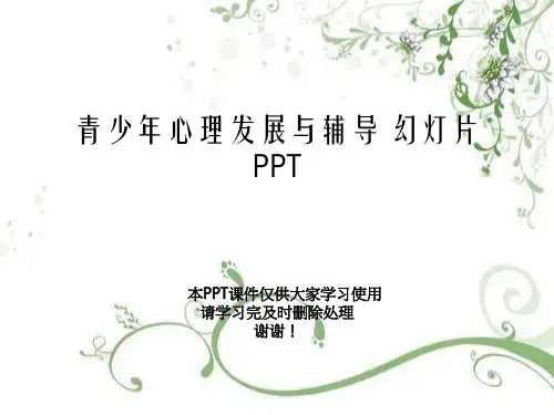 青少年心理发展与辅导 幻灯片PPT