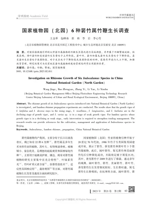 211187413_国家植物园（北园）６_种箬竹属竹鞭生长调查