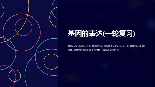 基因的表达(一轮复习)