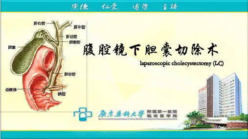 腹腔镜胆囊切除术(详细讲解)ppt课件