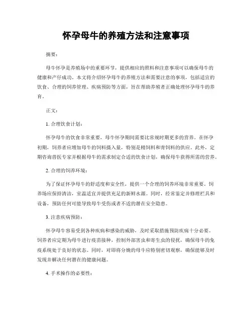 怀孕母牛的养殖方法和注意事项