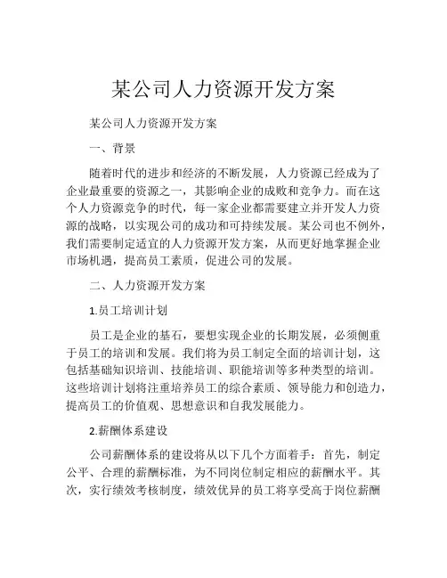 某公司人力资源开发方案
