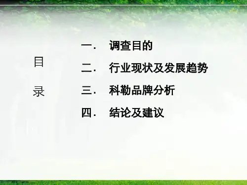 科勒卫浴市场报告16页PPT