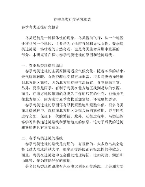 春季鸟类迁徙研究报告