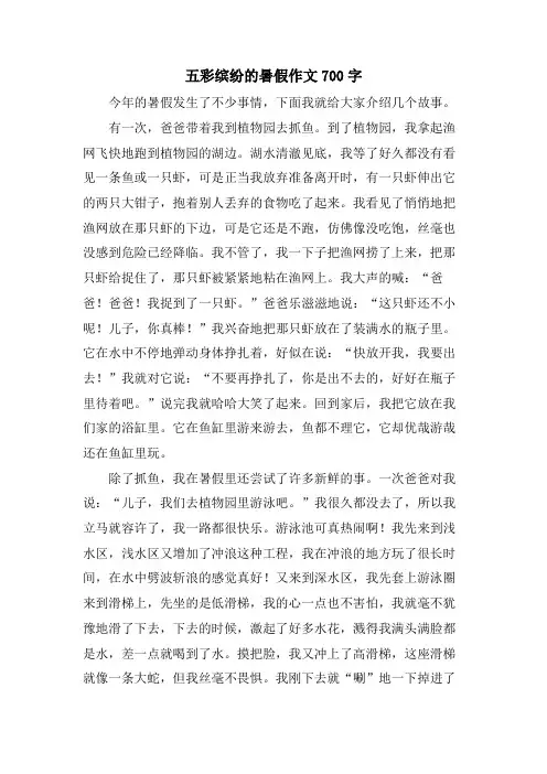 五彩缤纷的暑假作文700字