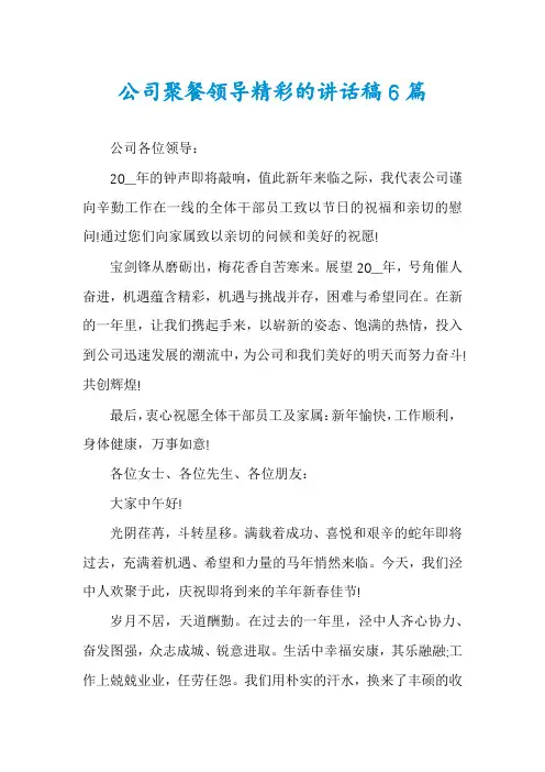 公司聚餐领导精彩的讲话稿6篇
