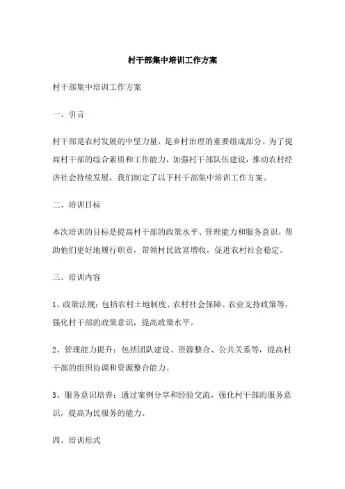 村干部集中培训工作方案